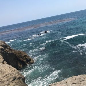 Meet your Posher, Mia